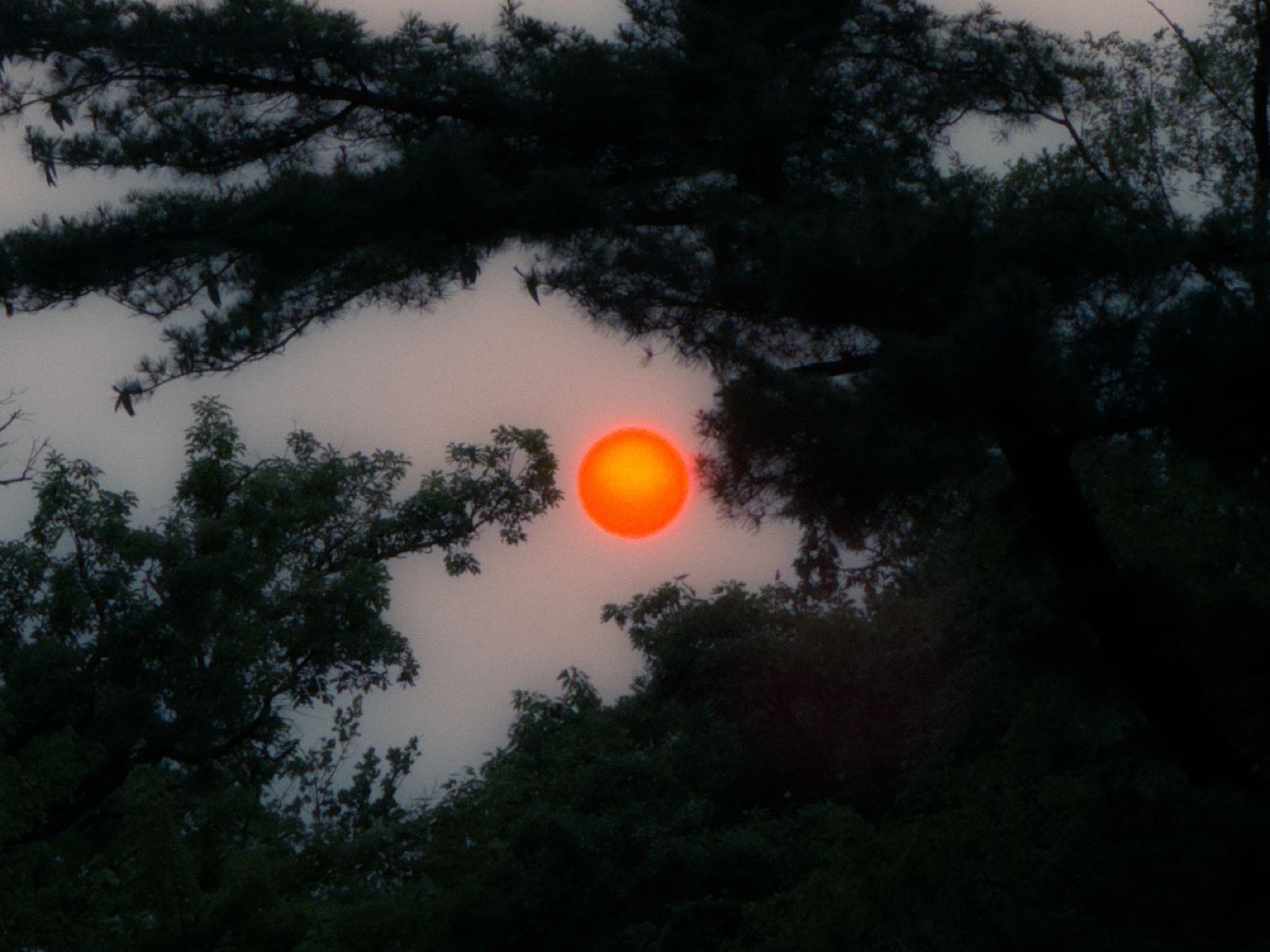Photograph by Niccolò Seilo