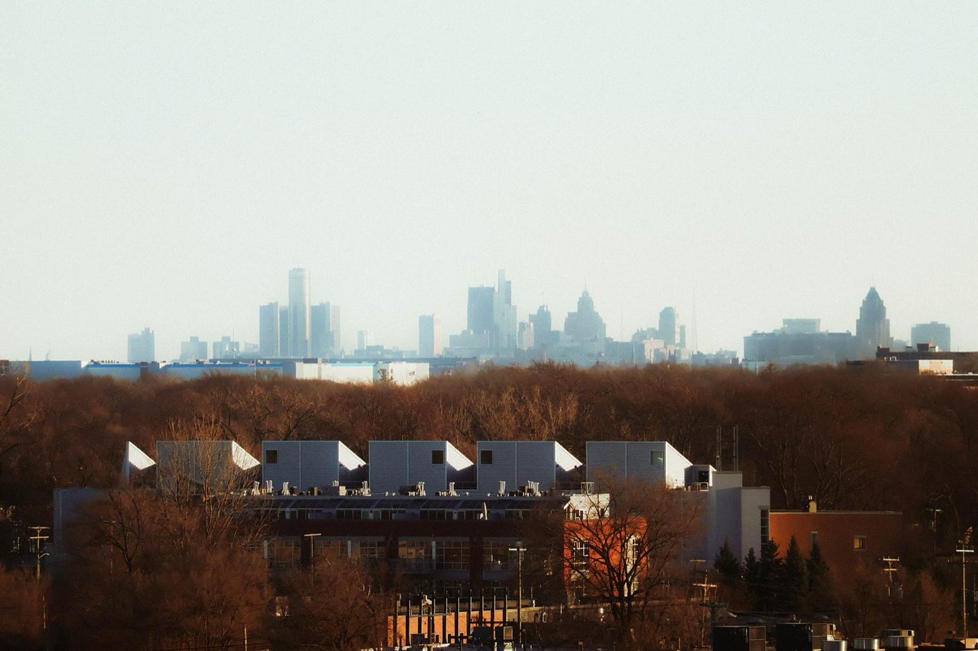 Photograph by Niccolò Seilo