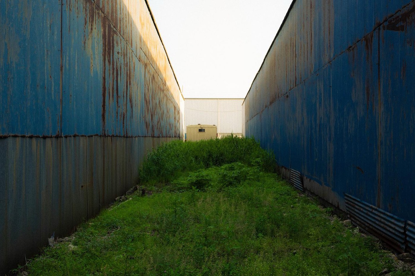 Photograph by Niccolò Seilo