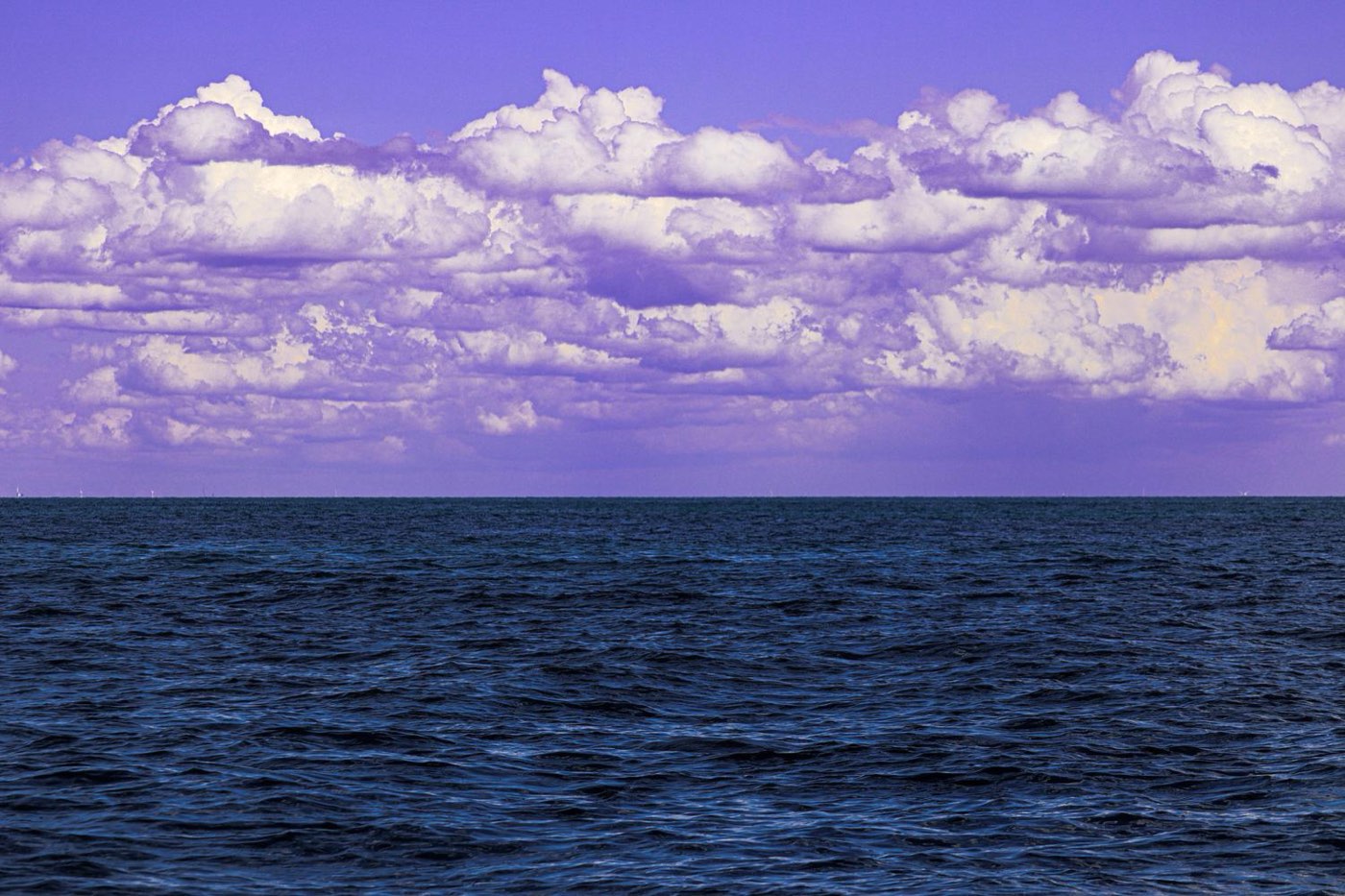 Photograph by Niccolò Seilo