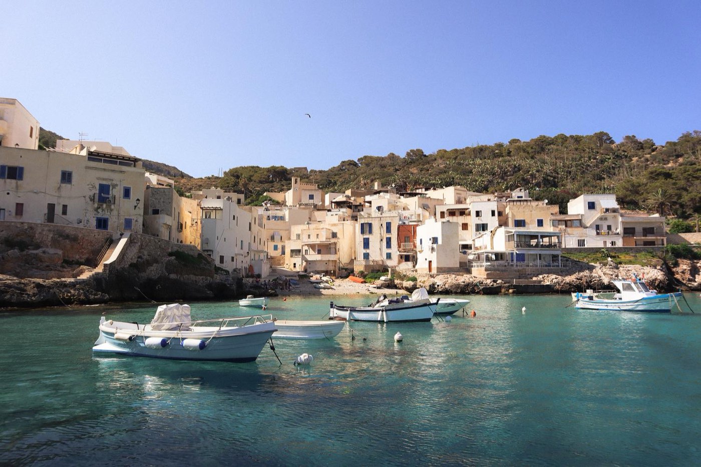 Photograph by Niccolò Seilo
